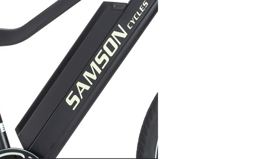 Electric Bike Battery